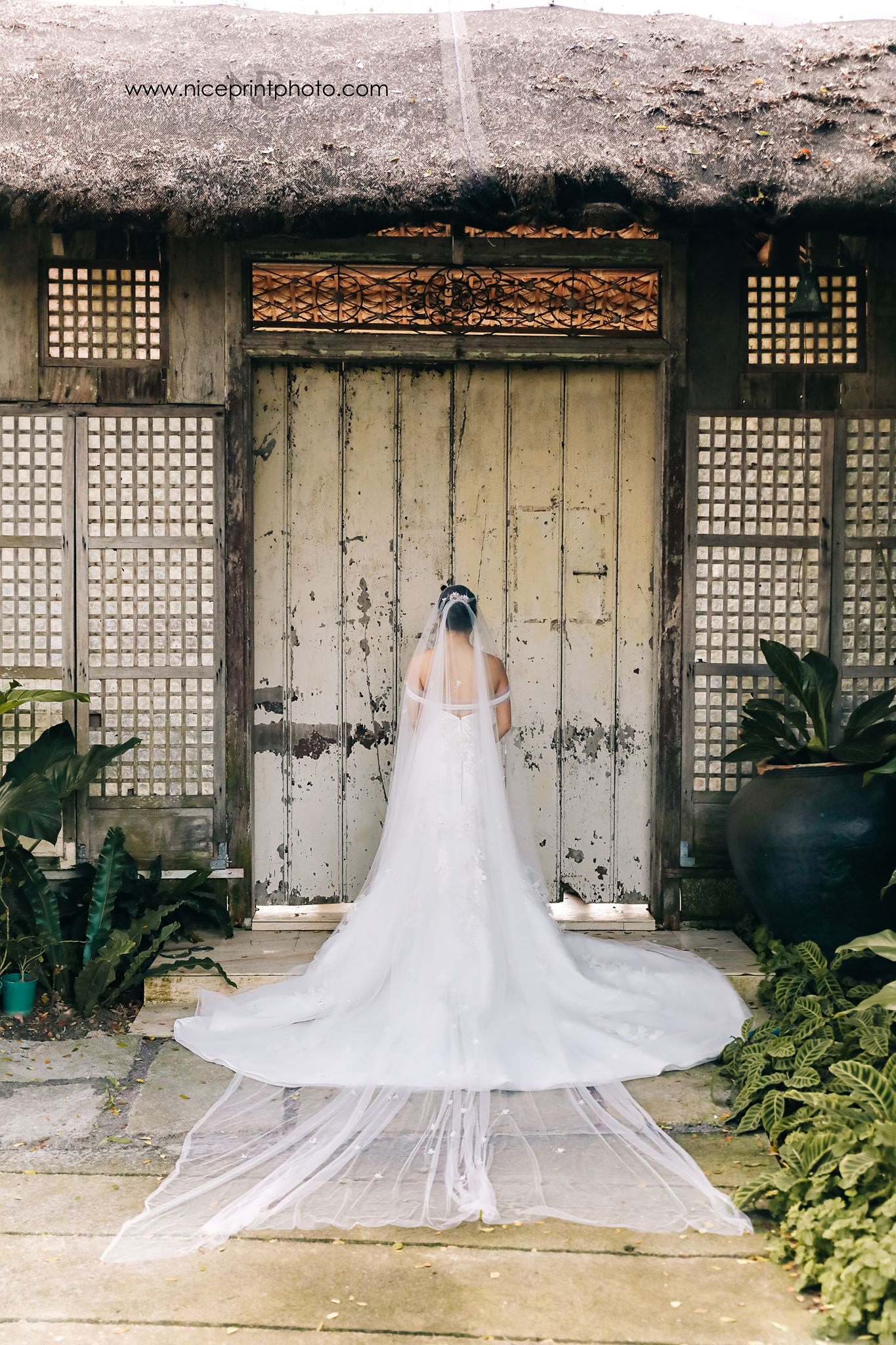 Batangas Ever After features Mark Zambrano and Aicelle Santos sunflower themed wedding in El Jardin de Zaida, San Juan, Batangas