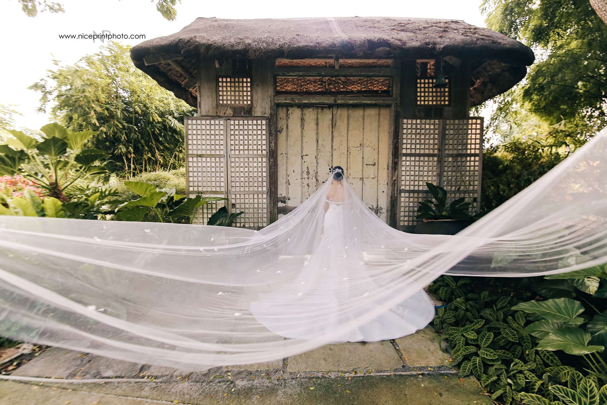 Batangas Ever After features Mark Zambrano and Aicelle Santos sunflower themed wedding in El Jardin de Zaida, San Juan, Batangas